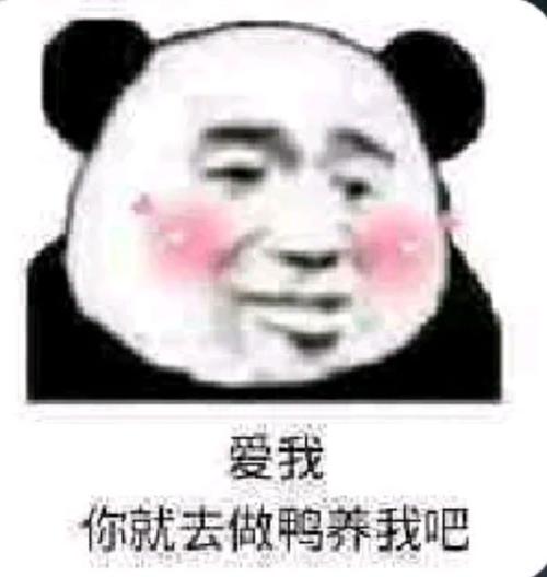 小乌龟的美好时光