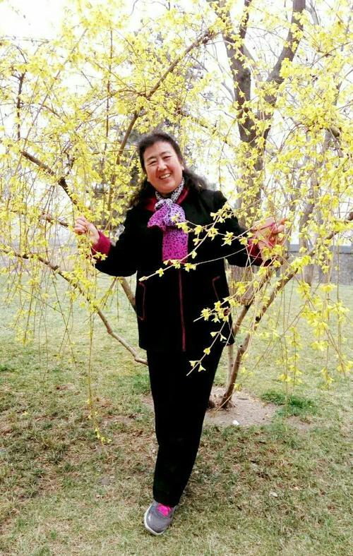 春分春游