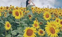 勇敢，飙出晴天