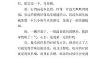 关于吃货的作文