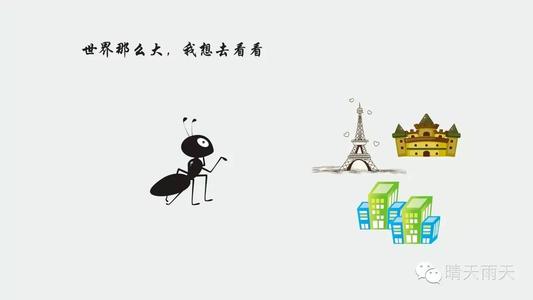 雨中的小蚂蚁