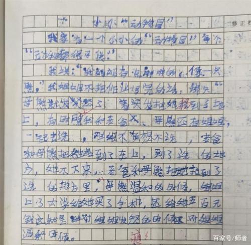 小动物园家庭组成350字