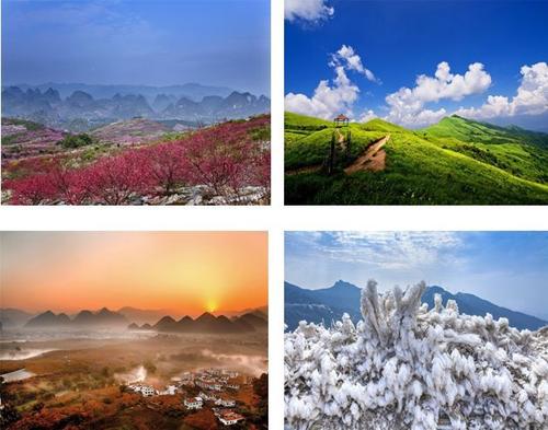 春季，夏季，秋季和冬季之间的后视图