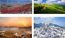 春夏秋冬间的背影