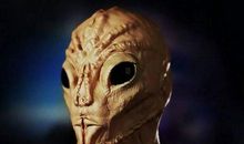 这样的人让我愤怒