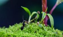 别怕,向前再迈一步