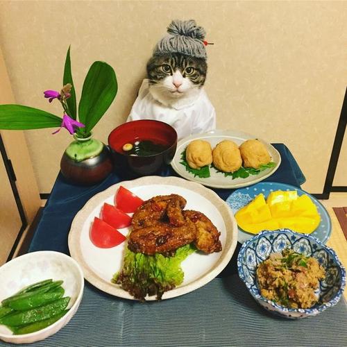 面食
