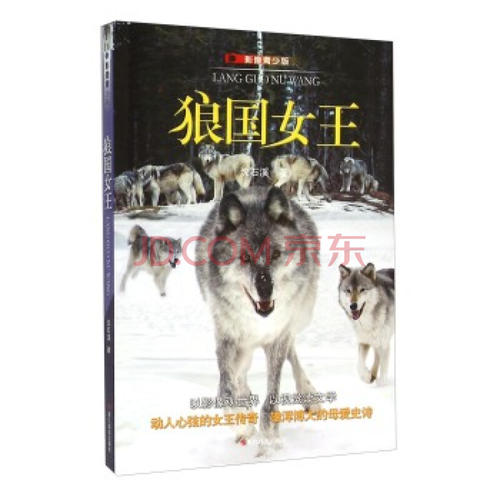 关于阅读《狼王后》的思考