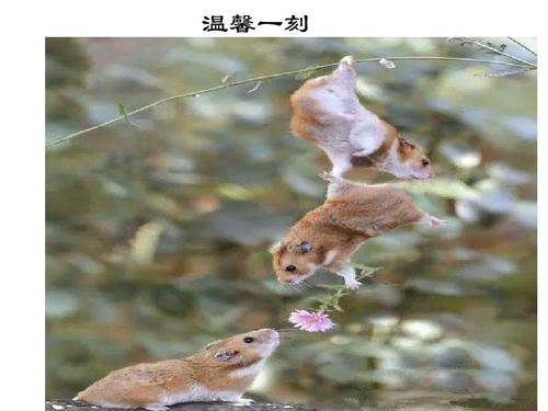 温暖的时刻