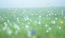 珍惜所拥有的亲情