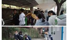 秋风吹不散的亲情