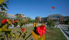 四季如画的校园