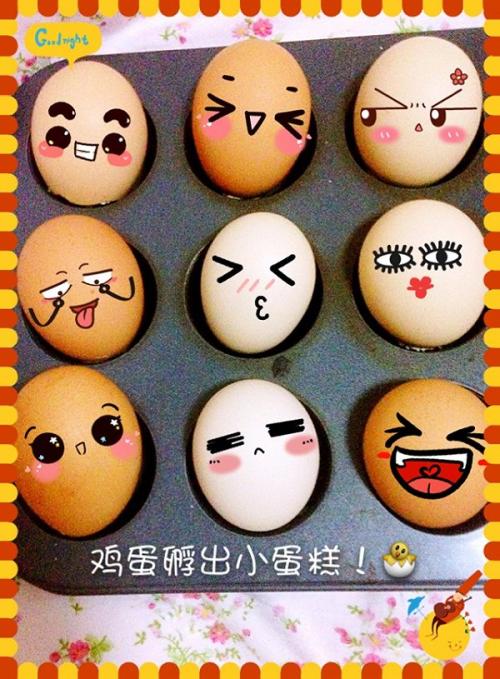 各种蛋壳