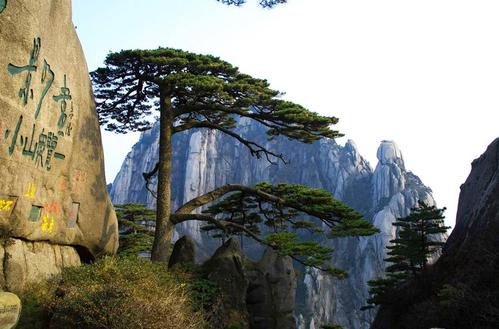 美丽的黄山