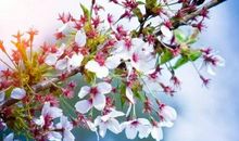 藏在心中的悔恨