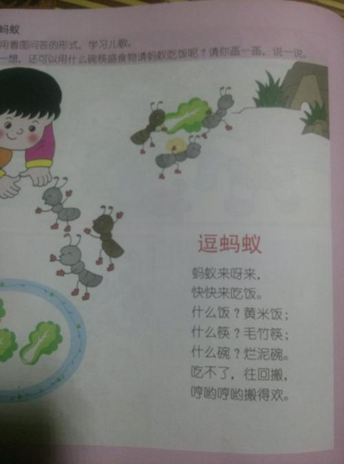 有趣的蚂蚁