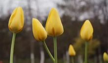 世界上处处温暖