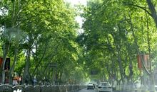 街道旁那悠扬的歌声