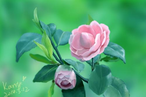 花仍在盛开