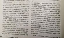 遇见名人想象作文