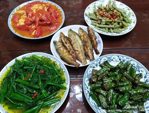 我的食物
