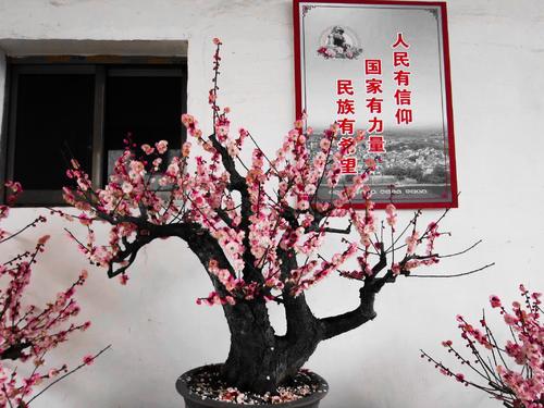 难忘的鲜花销售