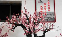 难忘的卖花活动