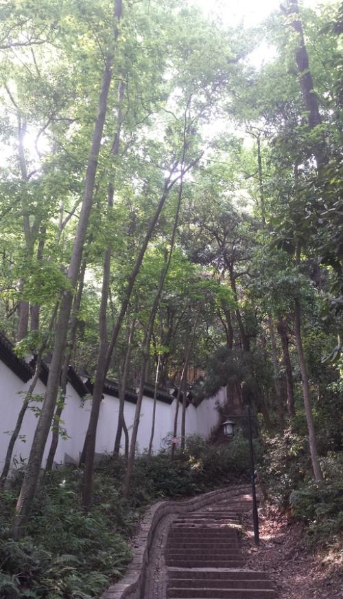 在雨中攀登北峰