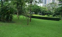 我家附近的小花园