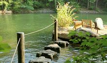 我心中的那抹绿