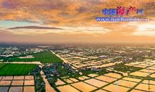 描写螃蟹的作文