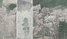 岁月有痕，孝心无价