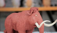 趣味多多的早晨