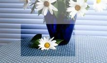 珍惜所拥有的那一盏灯