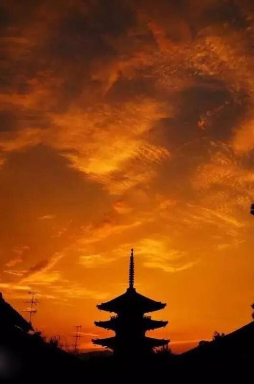 母爱，温暖的港湾