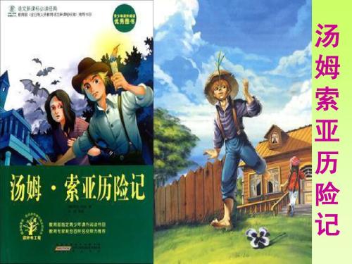 关于阅读《汤姆·索亚历险记》的思考