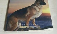 读《66号警犬》有感