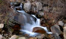 冬日下的枫树湾