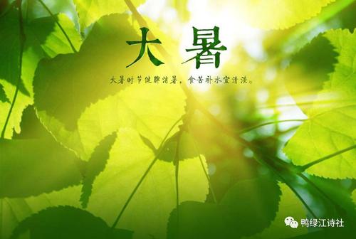 我徘徊在那绿色的小路上