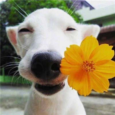 一个幽默的人
