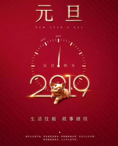 2019年见