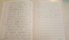 一二三木头人作文