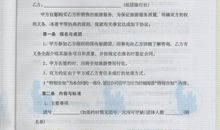 一次特殊的旅行作文600字