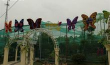 光明蝴蝶谷之旅