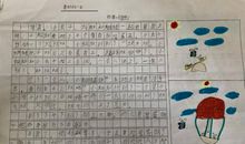 神奇的蛋壳看图写话