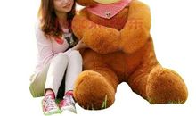 我心爱的熊娃娃