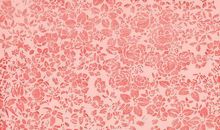 以生命拯救生命读后感