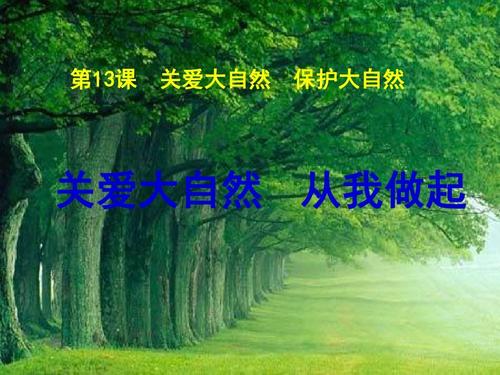 给大自然一点爱