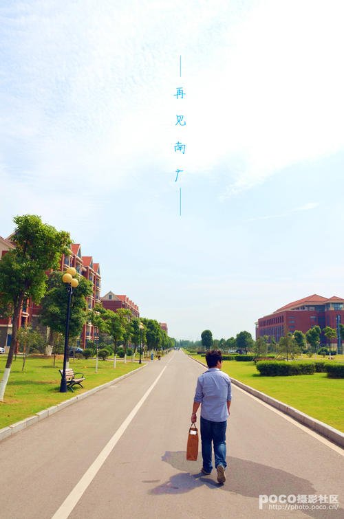 再见我的校园