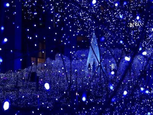 星光灯